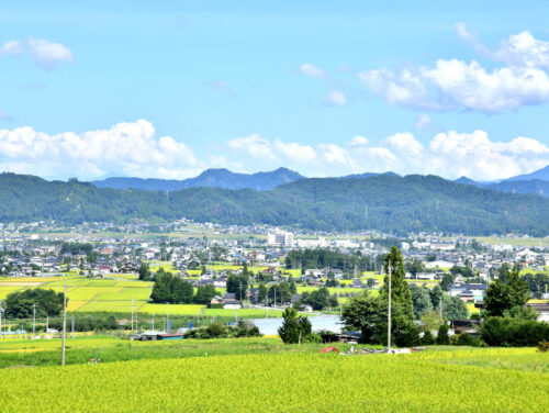 地方で医師不足にお困りの方へ。遠隔読影サービスがおすすめの理由を解説